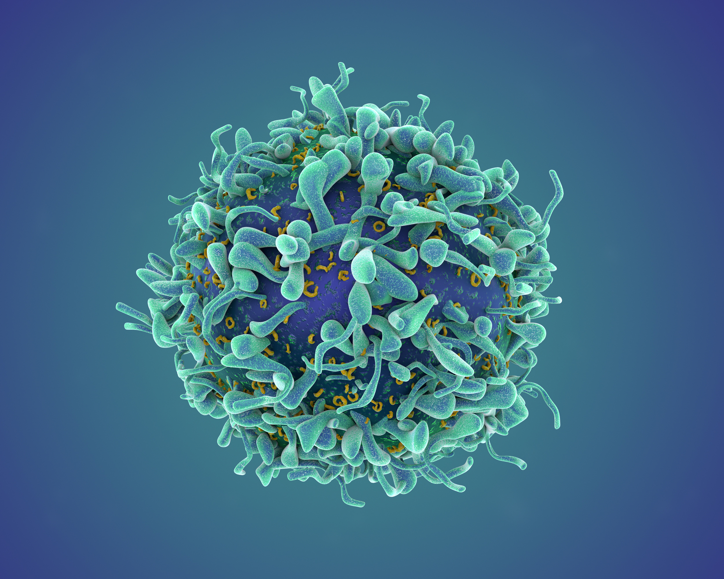 Single T-cell render