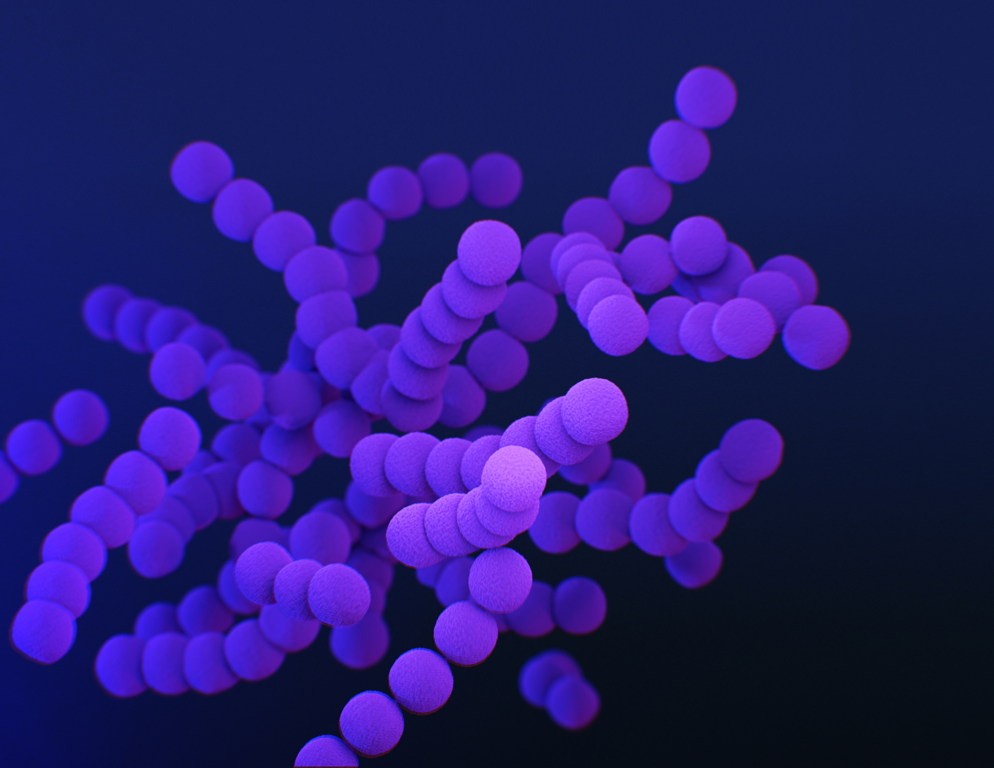 Medical illustration of clindamycin-resistant bacteria. Courtesy of the Public Health Image Library, Centers for Disease Control and Prevention, Antibiotic Resistance Coordination and Strategy Unit, Meredith Newlove.