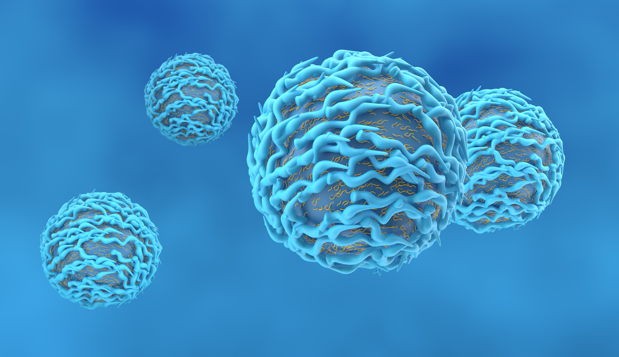 T-cell, Lymphocyte produced by the thymus gland